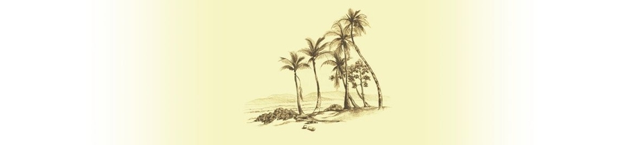 Type a description of this image
